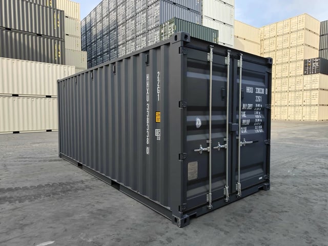Container 20 pieds neuf gris vu de trois-quarts côté portes