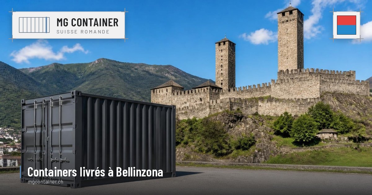 Container livré à Bellinzona